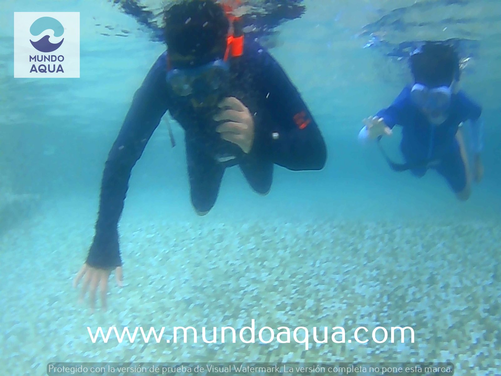 Práctica seguridad alberca