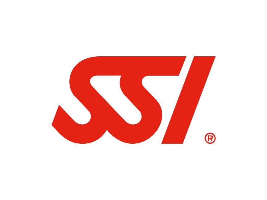 SSI Logo